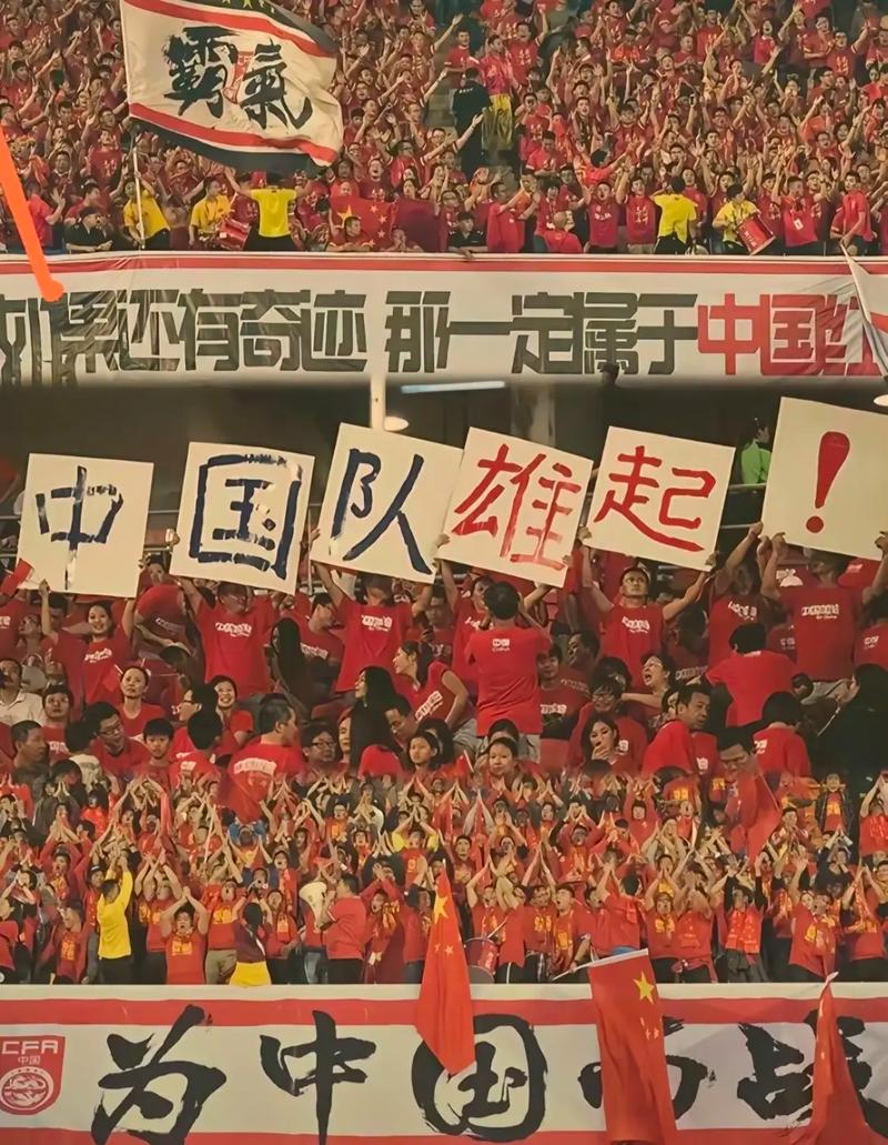 球队团结拼搏，为国争光展现体育精神的简单介绍