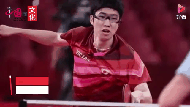 法国乒乓球队逆转英国乒乓球队，水谷隼惊艳世界的简单介绍