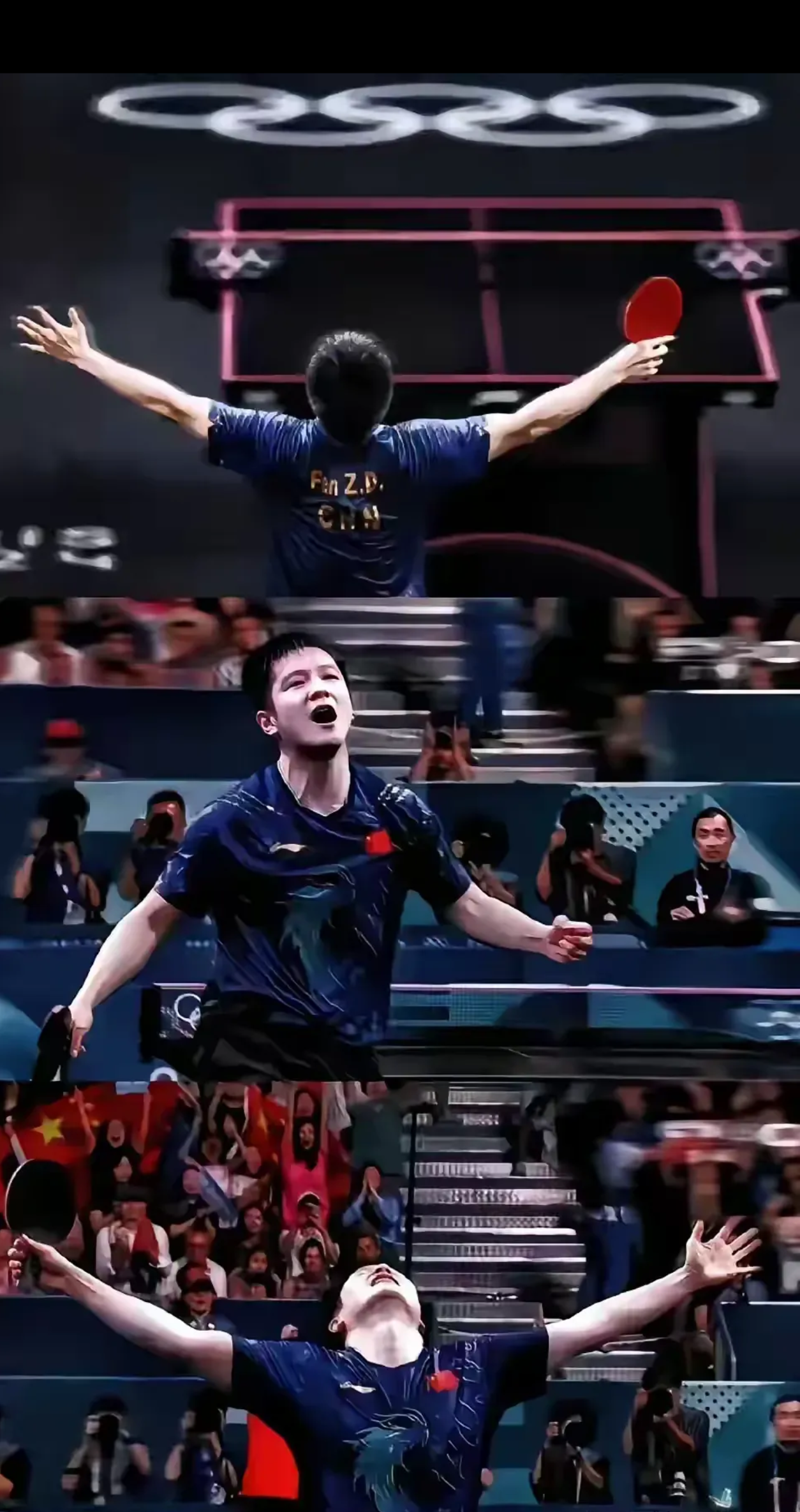 关于波兰乒乓球队逆转法国乒乓球队，樊振东绝境逆转的信息