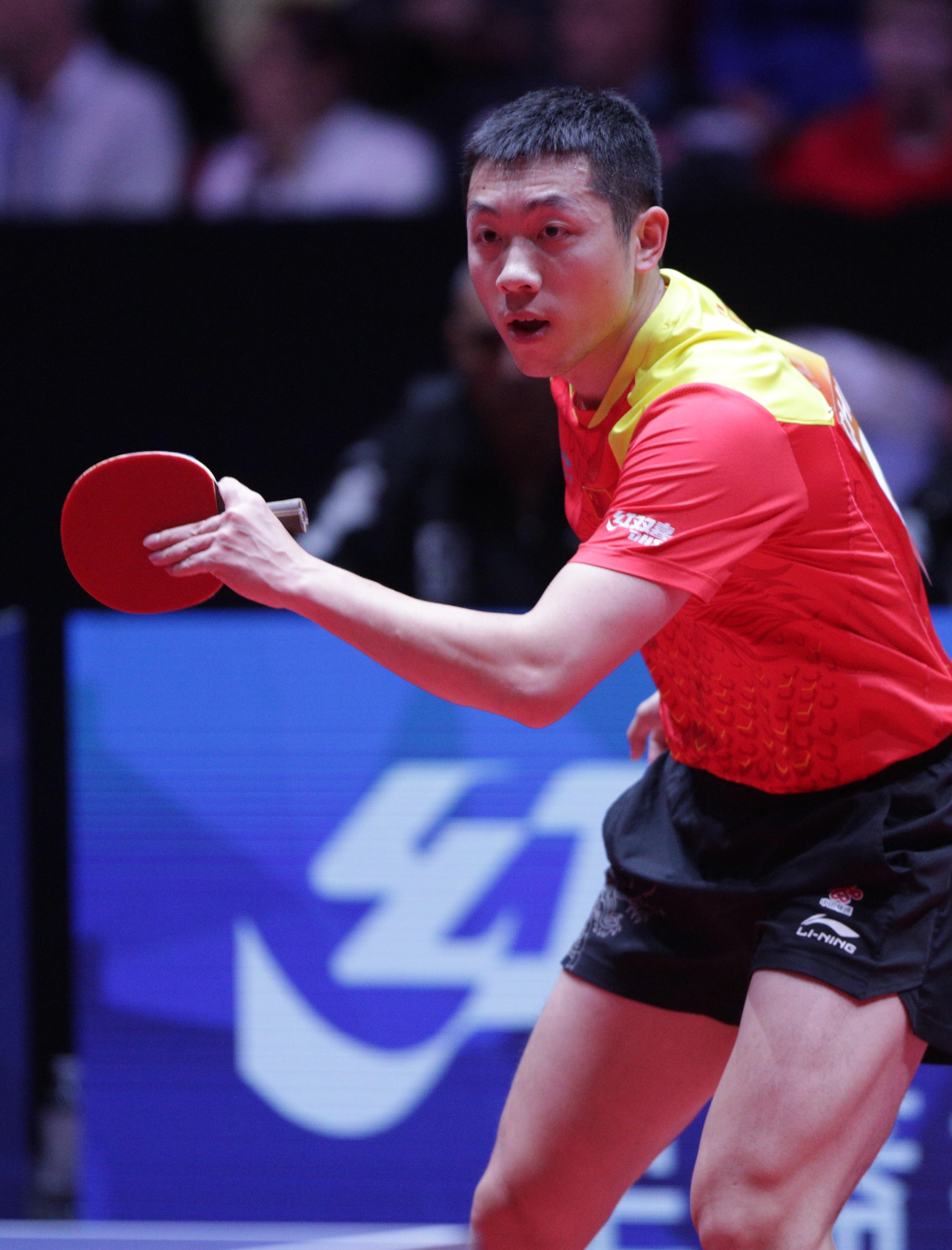 包含法国乒乓球队强势瑞典乒乓球队，许昕绝境逆转的词条