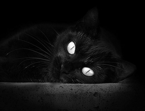 老鹰翻盘太阳，NBA总决赛焦点战的惊天逆转