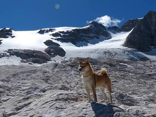 开云体育中国-德法双星闪耀欧冠舞台，萨内正名之战与里昂完美逆袭