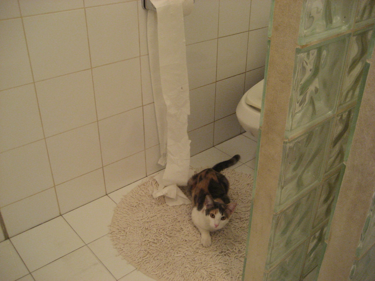 当麦迪逊花园的呐喊穿过大西洋，从尼克斯到诺坎普，领袖基因如何接管比赛