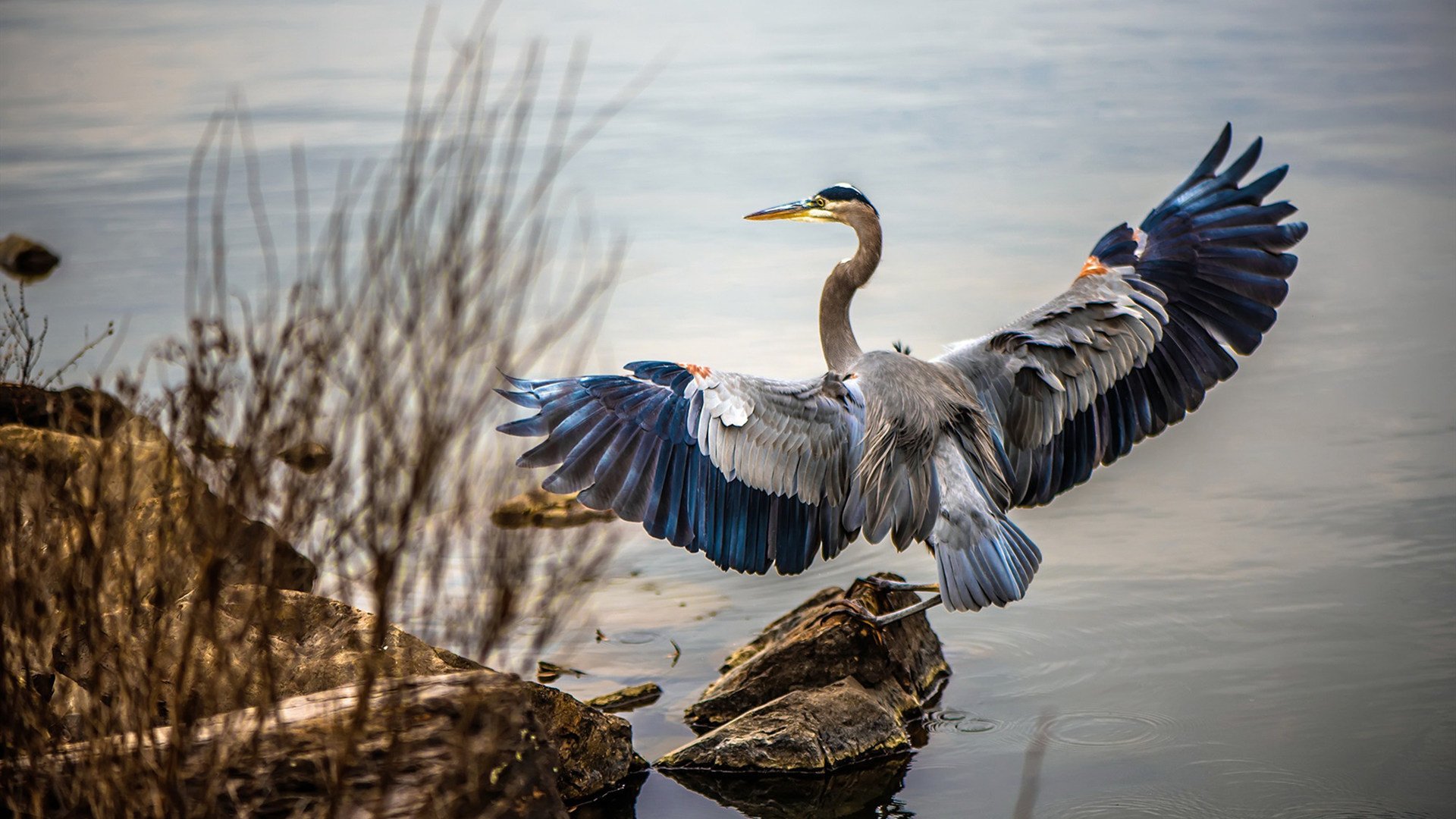 血与沙的独舞，当季后赛的绞杀战场遇见内马尔的危险美学