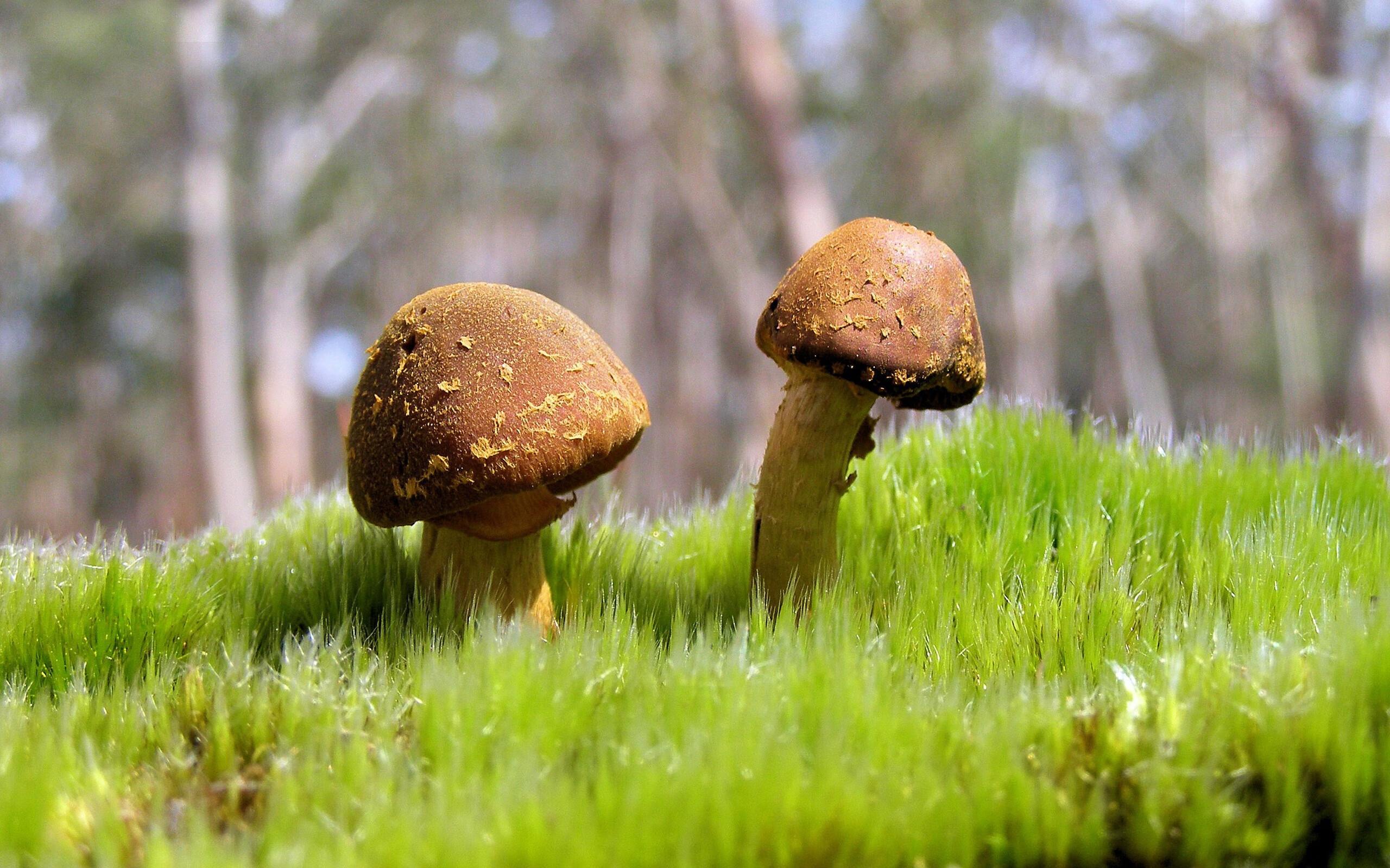 富安健洋封神之战，哥斯达黎加防线前，亚洲铁闸赢得世界尊重