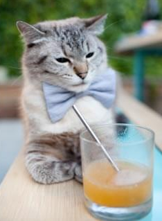 暗夜崛起，尼日利亚抢七鏖战力压爱尔兰，历史首次闯入八强