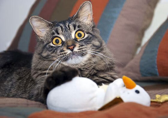 逆转之夜，布克关键节点连续得分，撕开费城最后防线