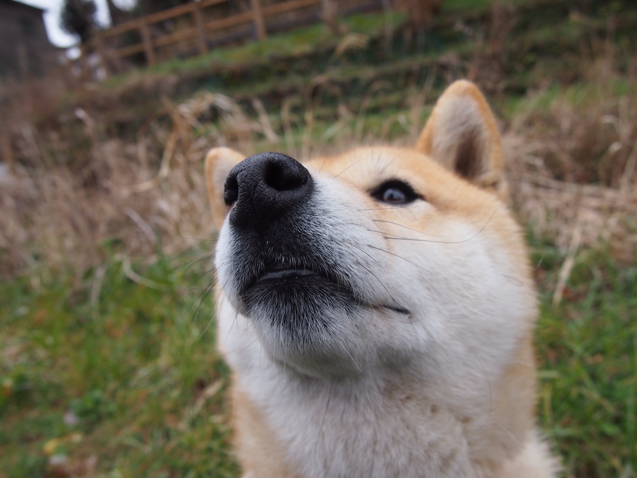 王者归来！詹姆斯39分史诗级逆转，步行者铁血防线强势拿下国王