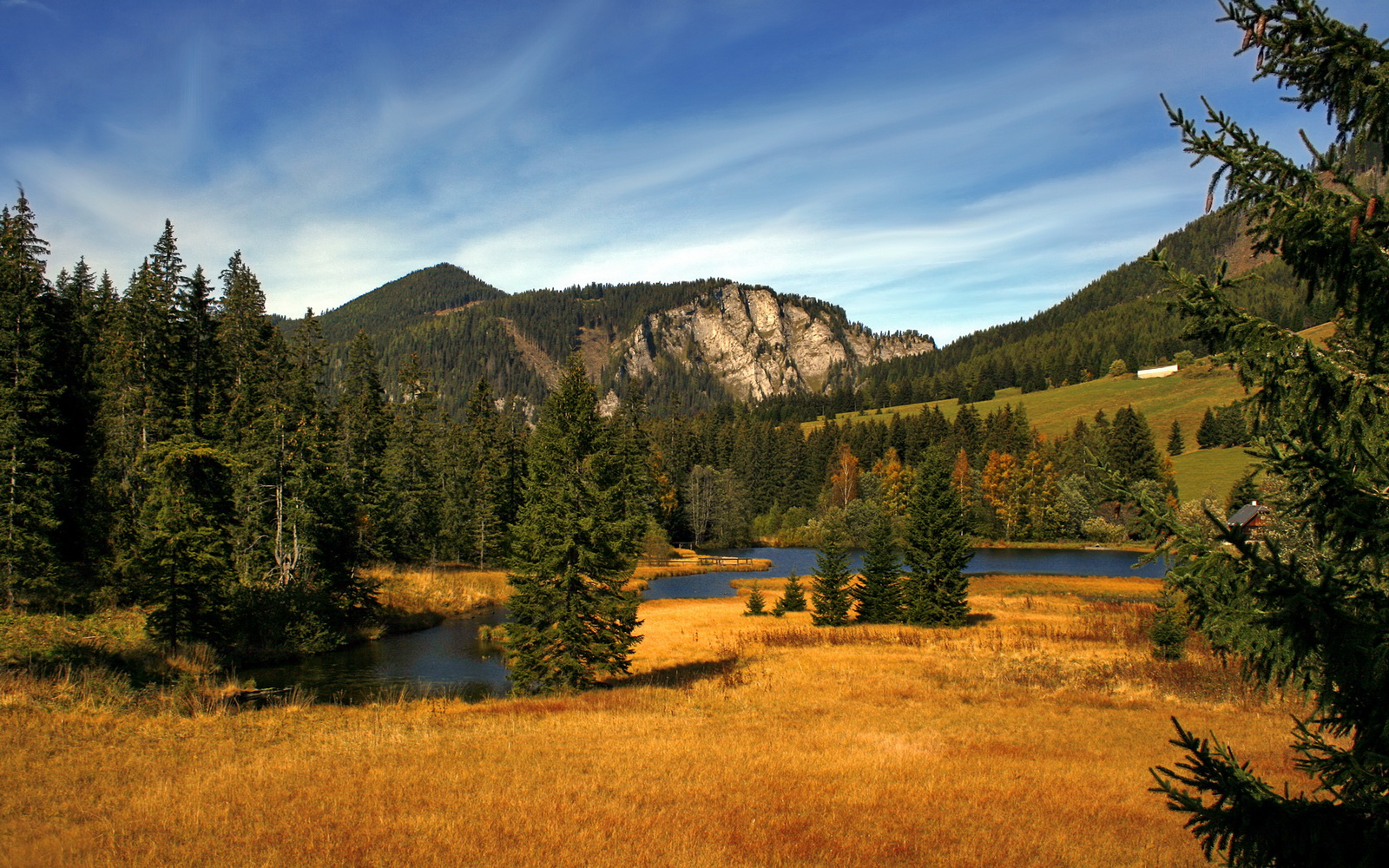 开云体育登录-上海队爆冷快船，无名利刃哈利伯顿如何斩落银河战舰？