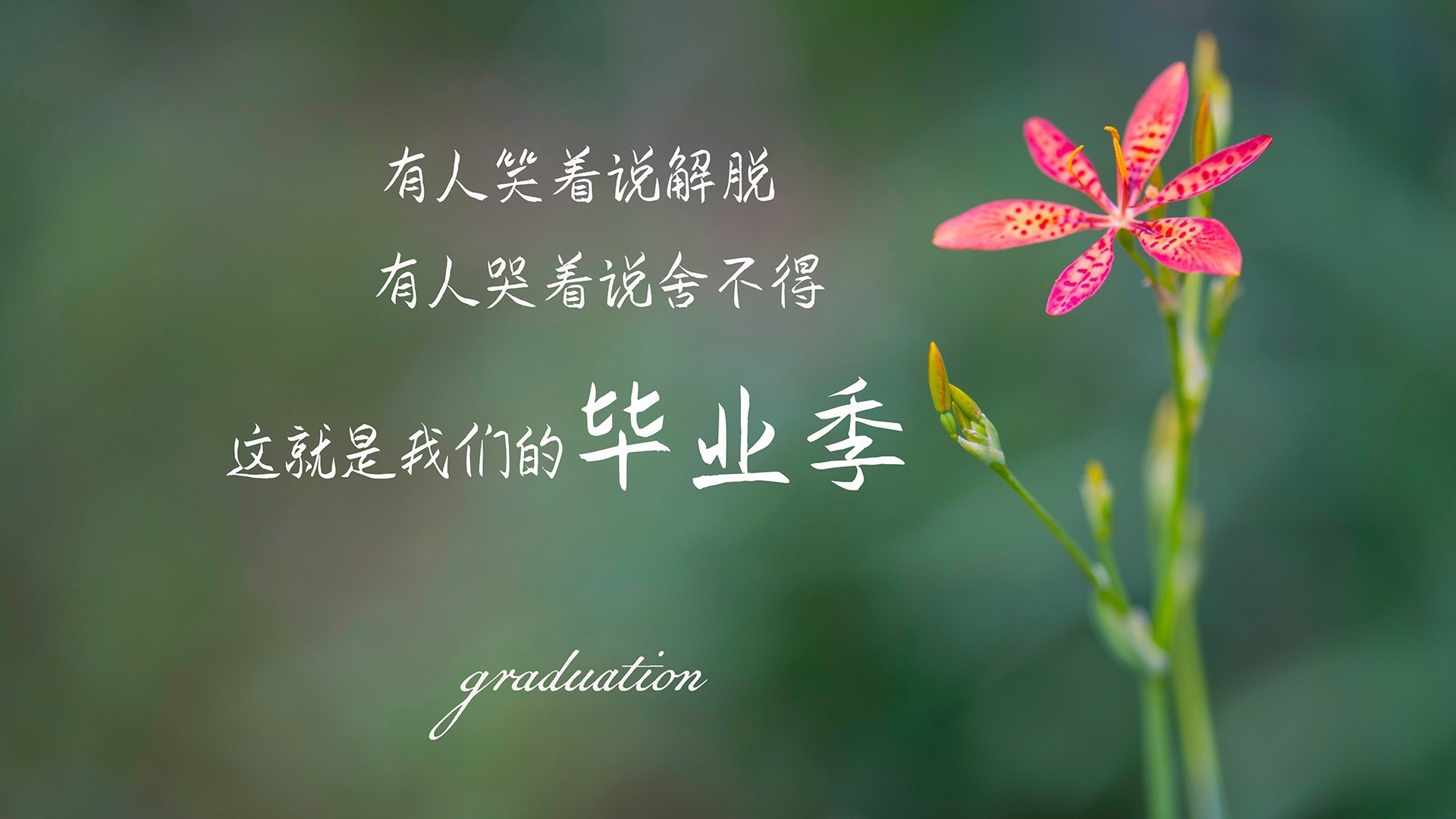 -熔炉中的铸剑者，法比尼奥在国家德比夜的压力淬炼