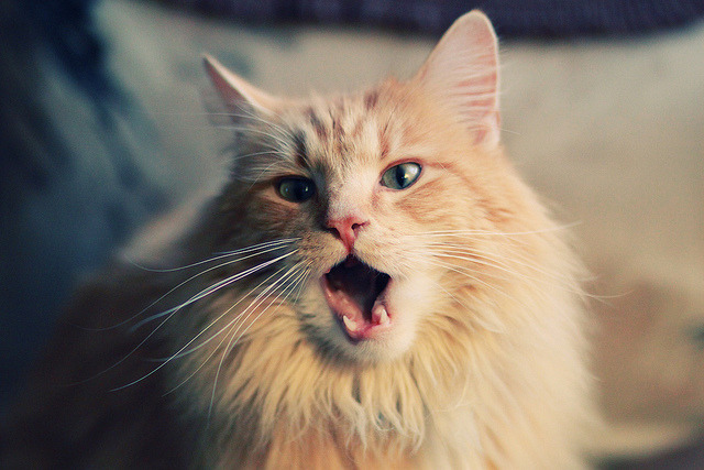 西甲国家德比之夜,姆巴佩全程高能输出,点燃世纪之战