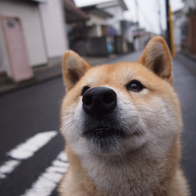 NBA季后赛焦点战，当摩纳哥式全面压制降临球场