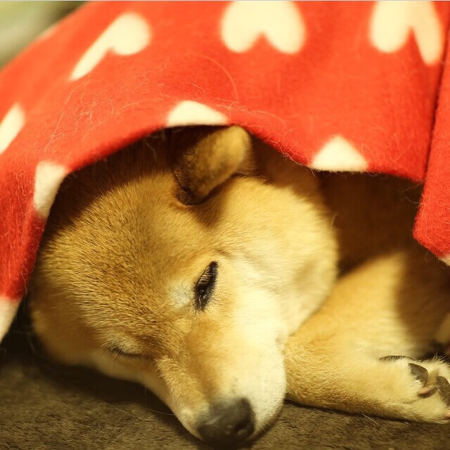 开云体育-格列兹曼闪耀破局，冰岛铁骑碾碎悬念，哥斯达黎加黯然退场