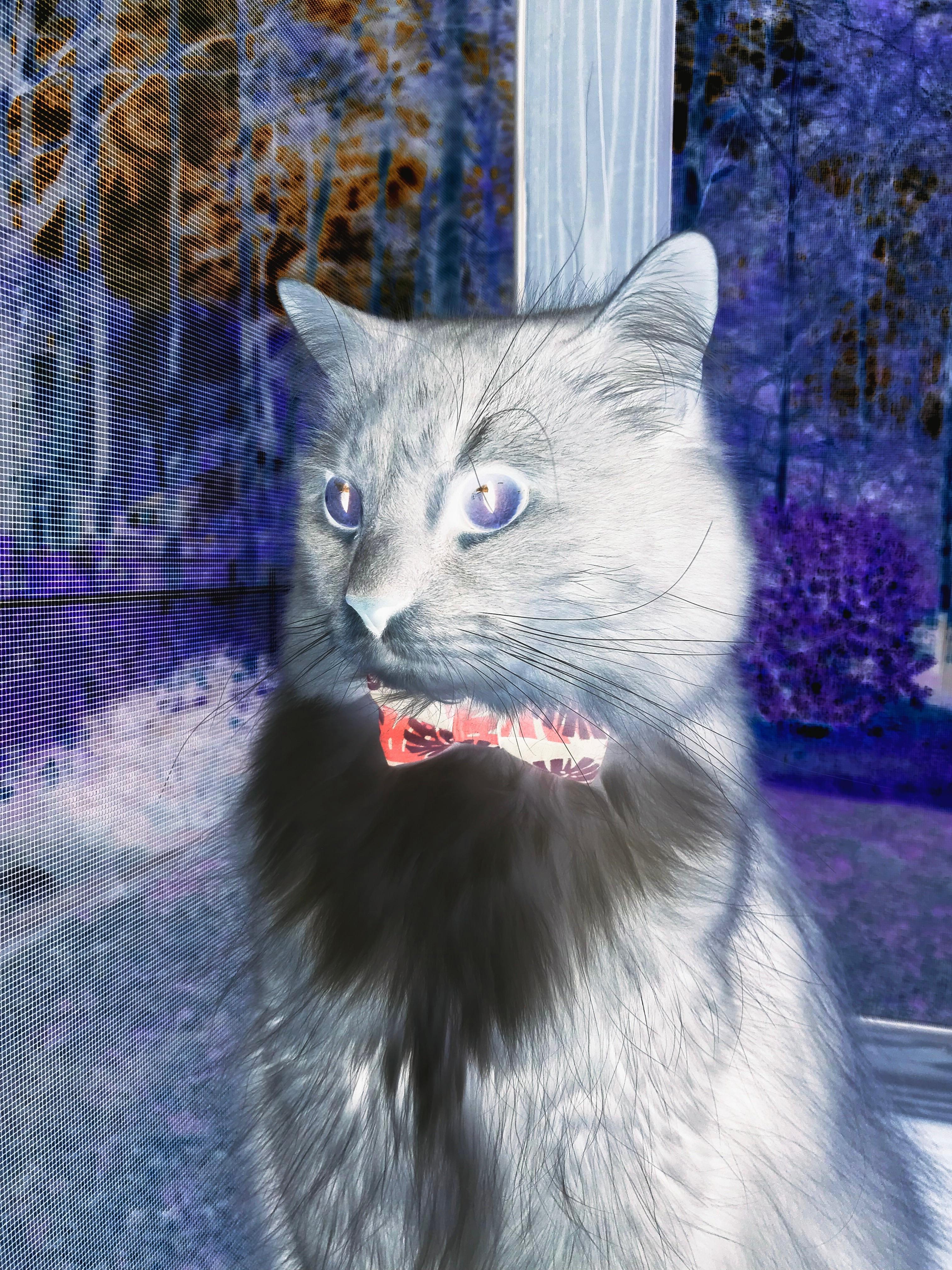 开云体育中国-世纪之战，桑巴旋风破星月铁骑，巴西掀翻土耳其铸就年度焦点