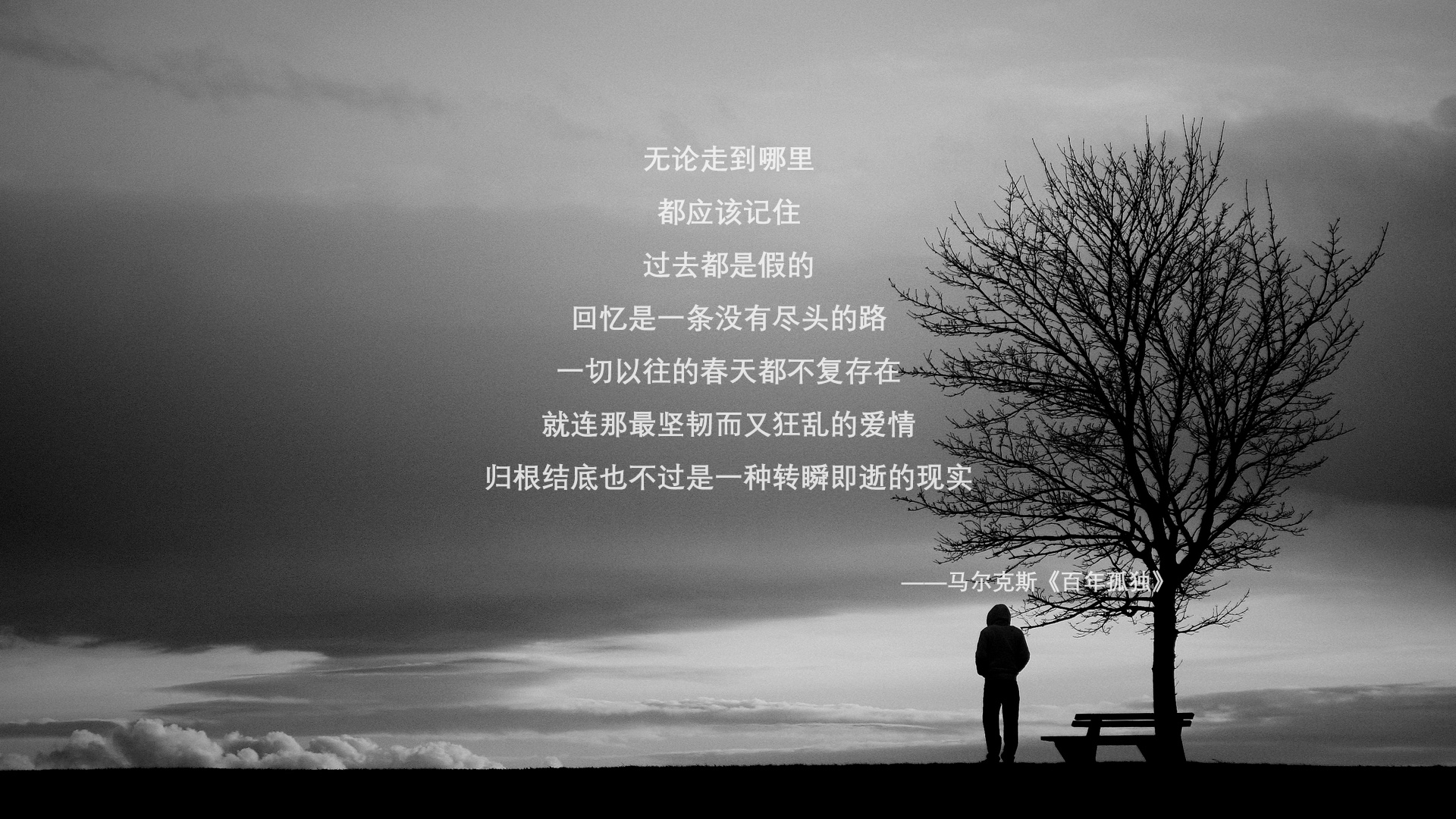 开云体育登录-星光与蜂鸣，当库里魔术师遇上黄蜂的团队风暴