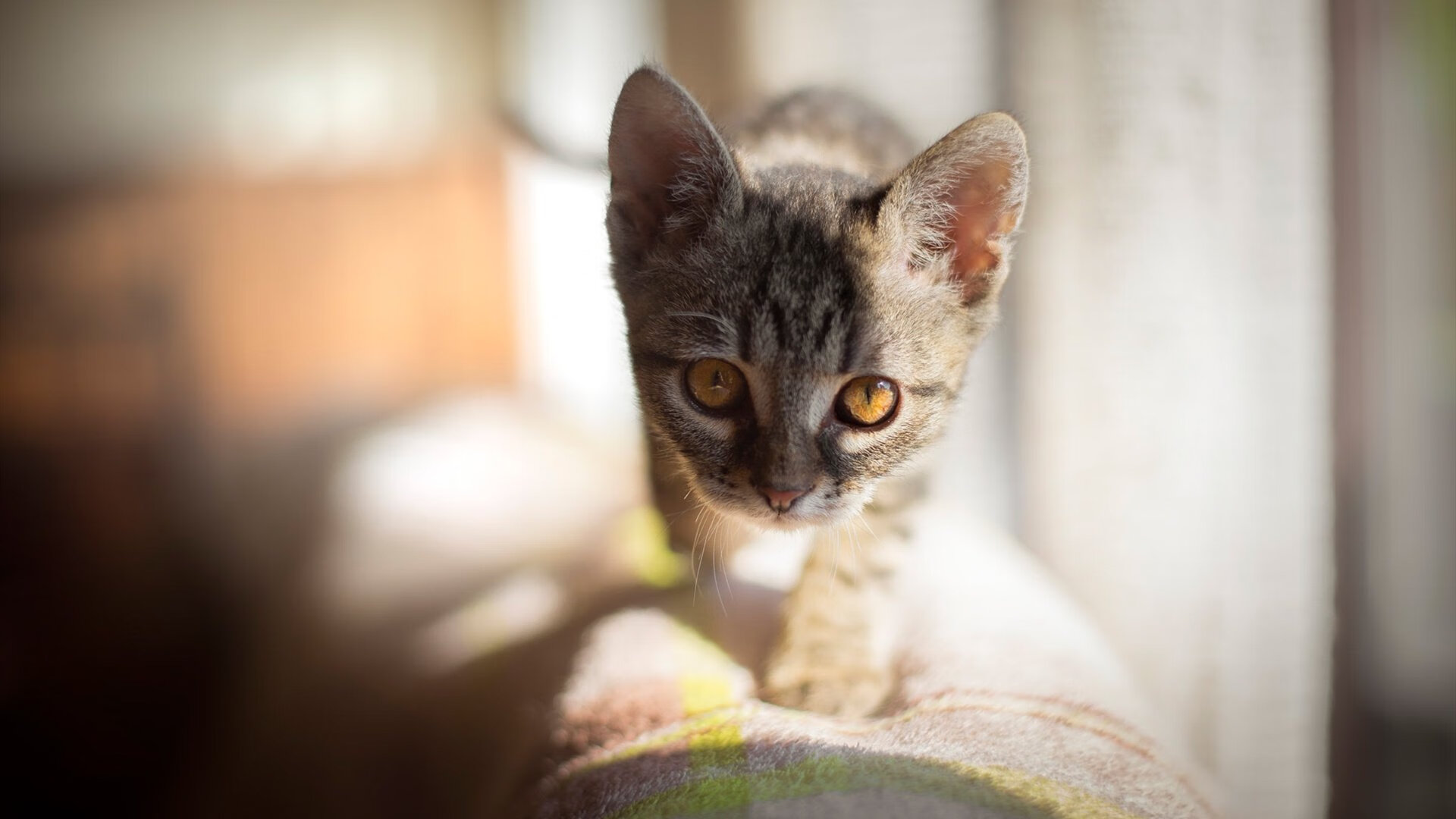 开云体育官网-波兰速胜墨西哥，本泽马全场最佳无争议