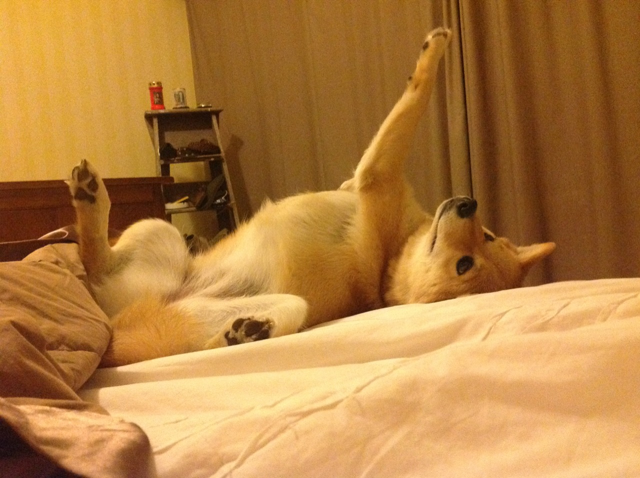 开云体育官网-双线并进，德甲争冠白热化与76人全面压制尼克斯的战术启示