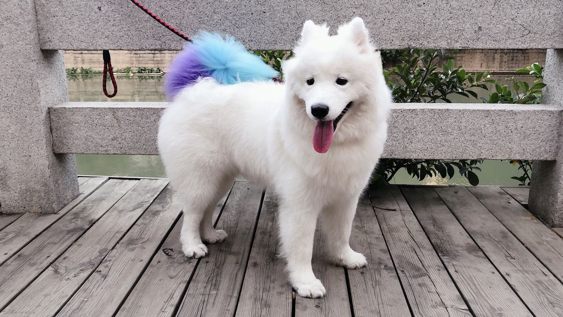 金州再亮剑，克莱于奥运前夜击碎心魔