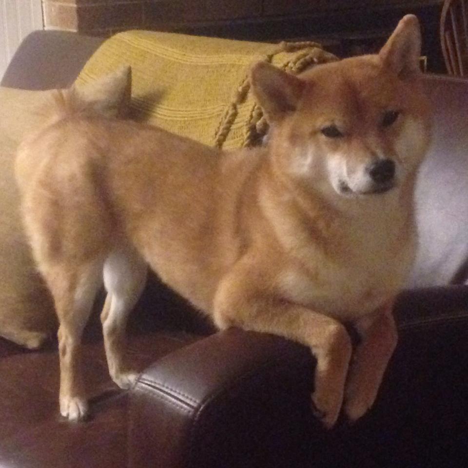 曼联掀翻洪都拉斯！苏亚雷斯替补神兵天降，梦剧场见证奇迹之夜