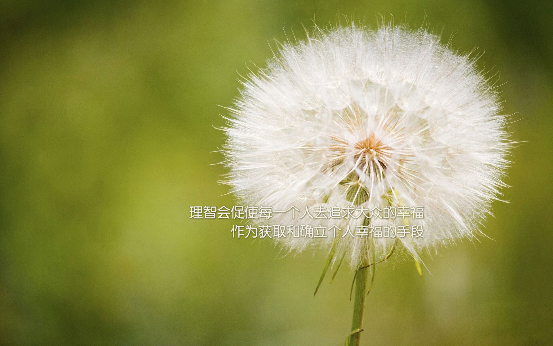 开云体育app-霍勒迪全程高能输出，国家德比之夜点燃西甲风云