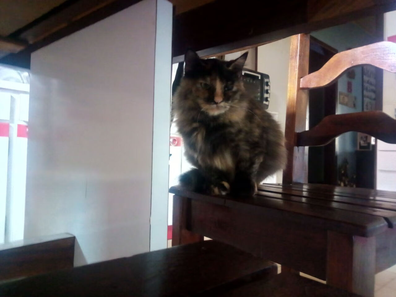 跨洋风暴!拉梅洛·鲍尔关键三双助广东队冲垮灰熊防线