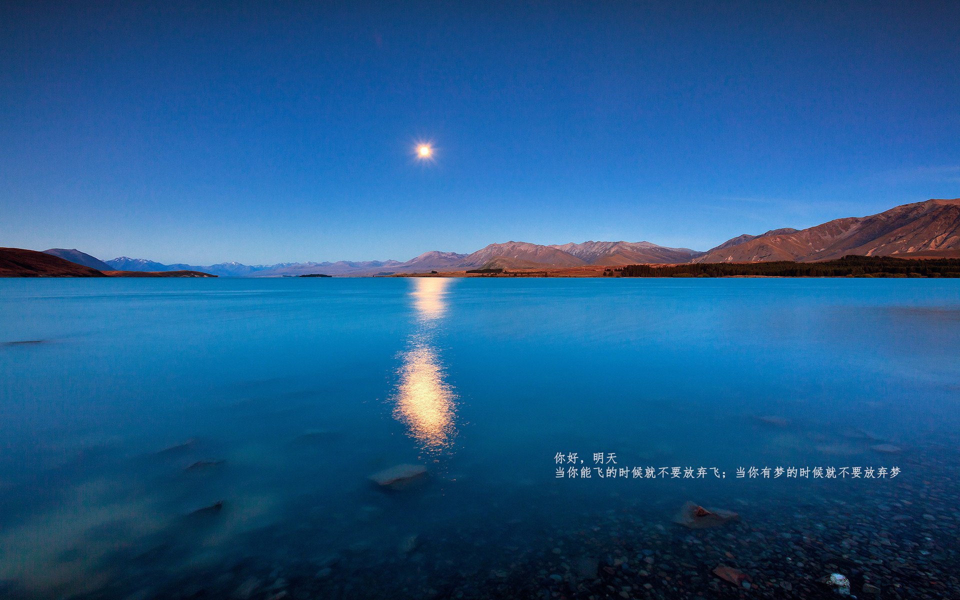 布雷默惊艳四座,塞维利亚关键战突围里昂