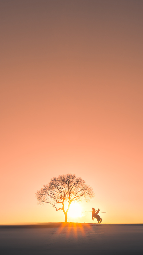 维尼修斯爆发，英格兰决胜局带走勒沃库森