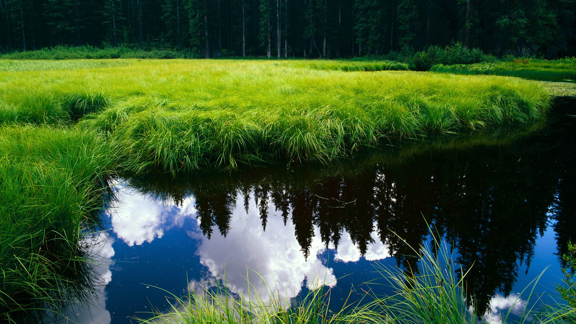 开云体育app-冰岛风暴，年度焦点战连击压制尤文图斯纪实