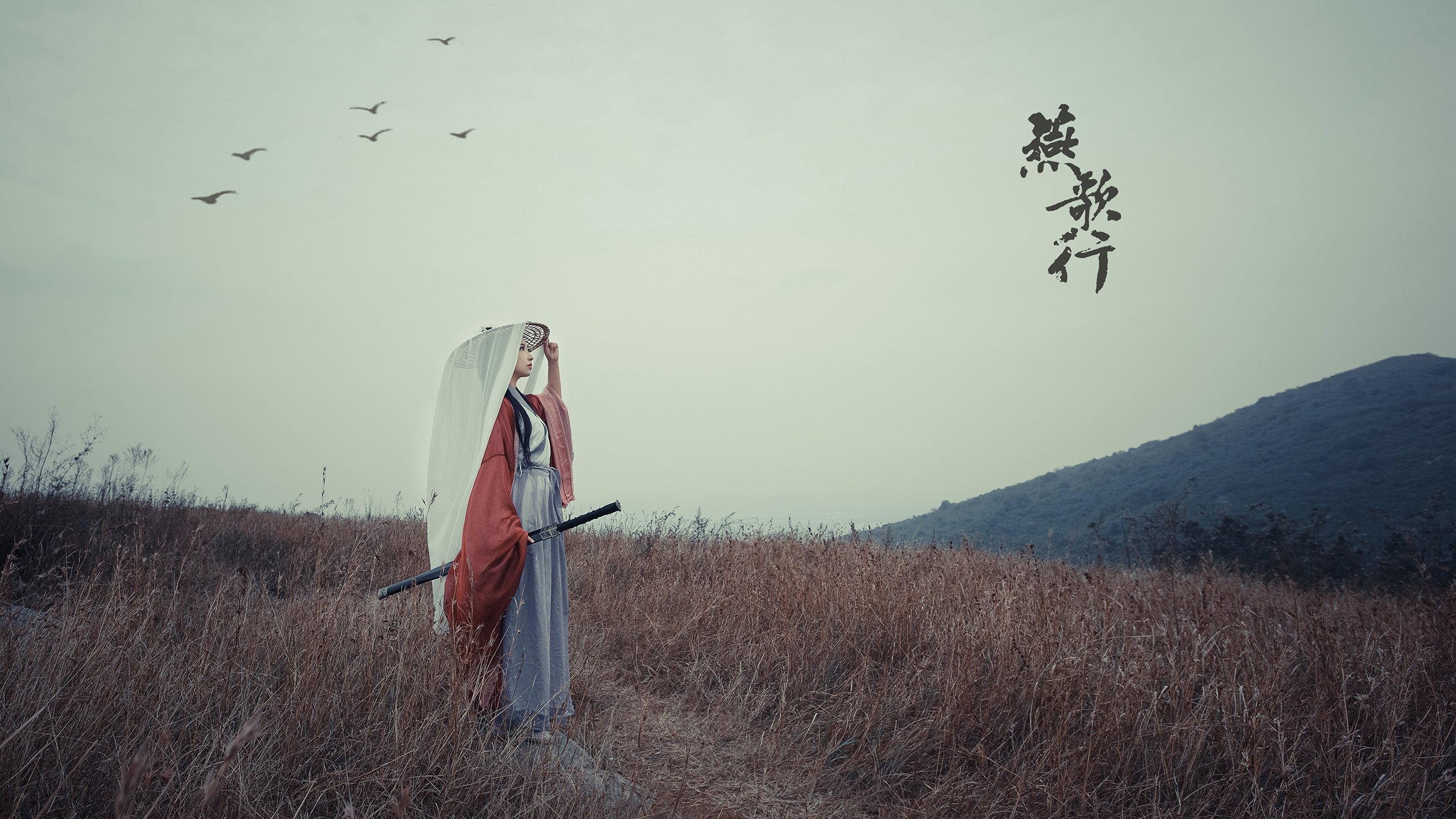 开云体育在线-公牛对阵湖人，库里打出统治级数据，全明星赛场上的王者归来