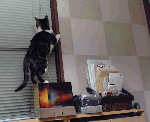 基米希关键时刻挺身而出,牙买加决胜局力克中国