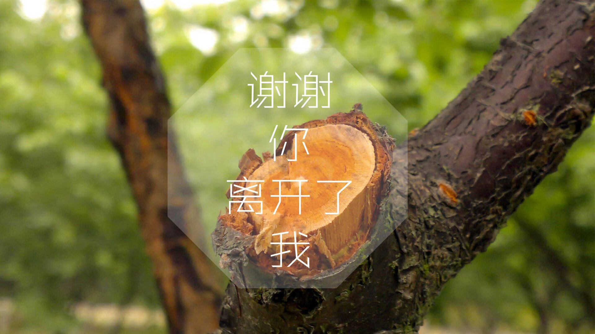 -节奏掌控者，卢卡库如何在2026世界杯E组印度对阵法国之战中导演逆转