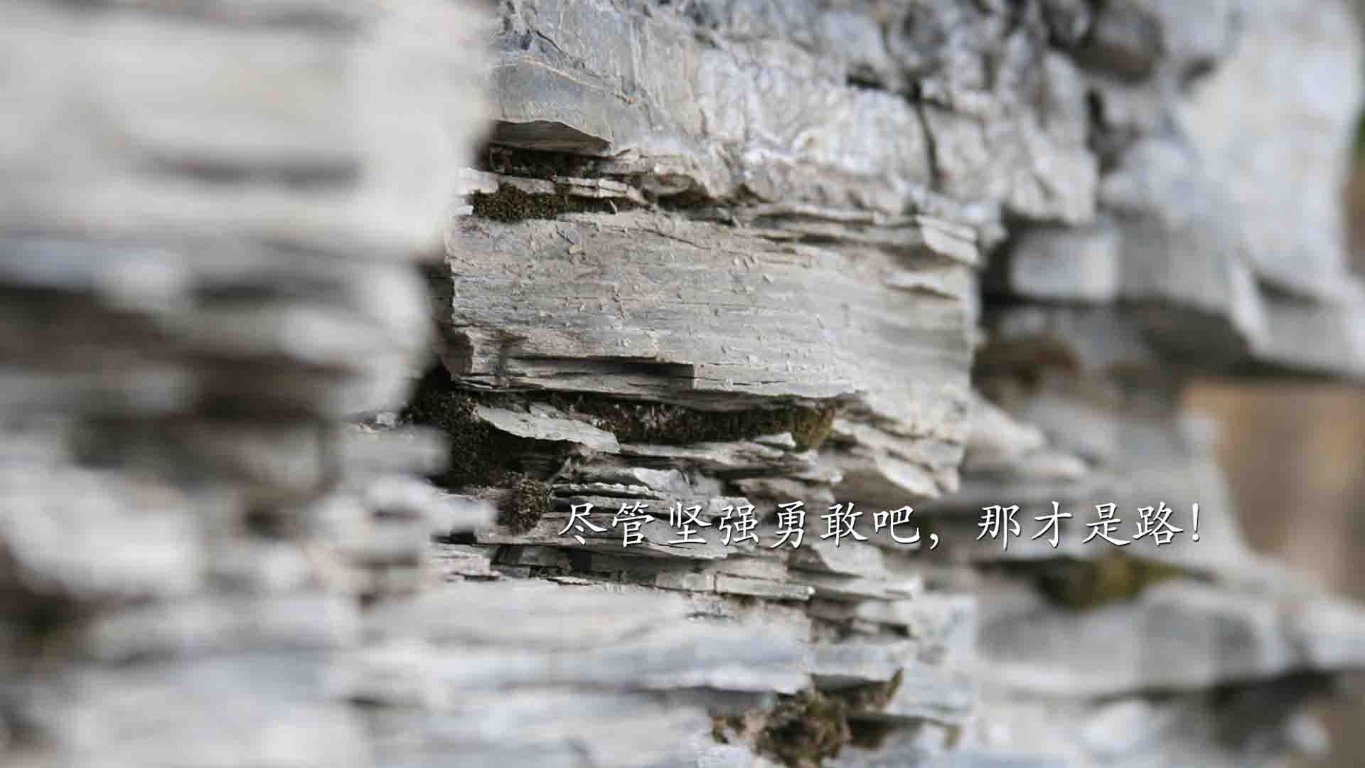 北非雄鹰展翅高飞,2026世界杯揭幕战突尼斯横扫智利,哈基米闪耀全场