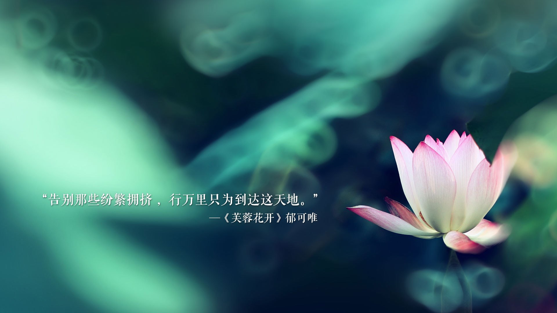 布罗佐维奇调度全局,乌拉圭小胜哥斯达黎加占得F组先机